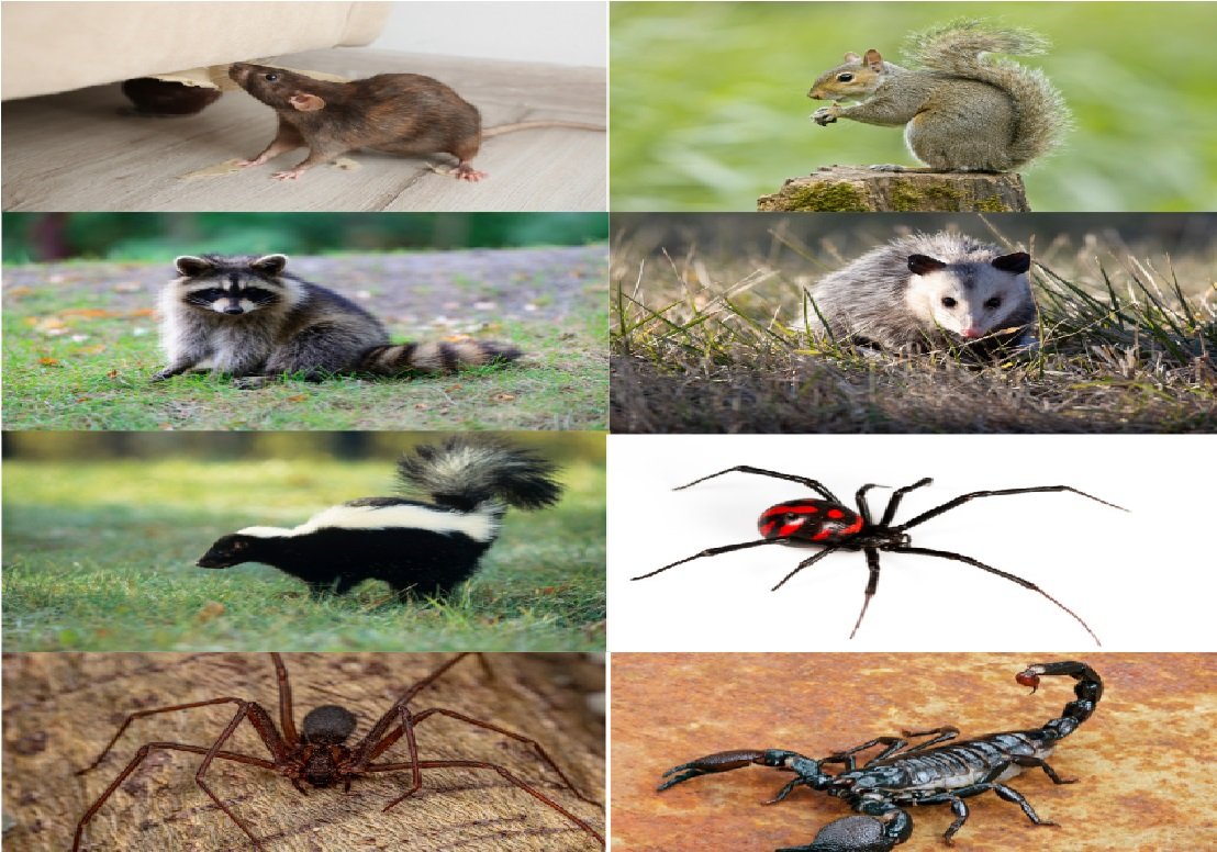  pest control Oregon